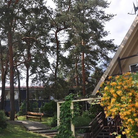 Vila Nendre Neringa Ngoại thất bức ảnh